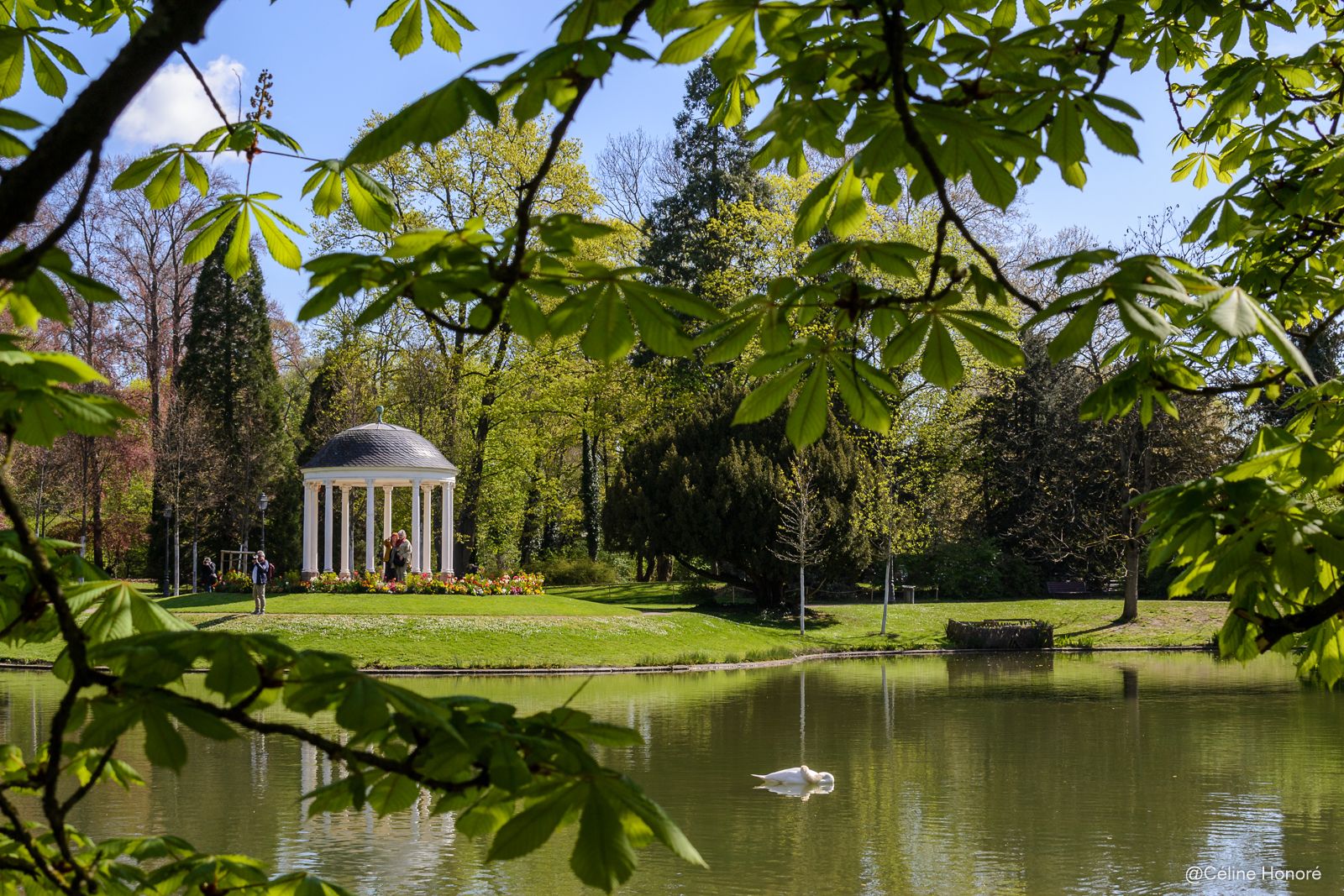 Parc avec lac et nature